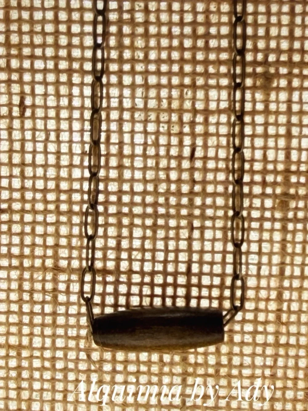 Alquimia Gold-Tone Chain Necklace with Brown Wood Bead